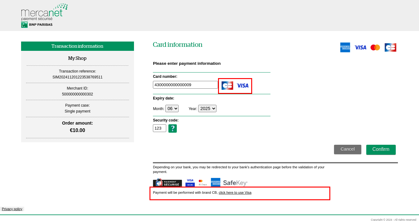 Payment page with highlighting of detected networks and network change link