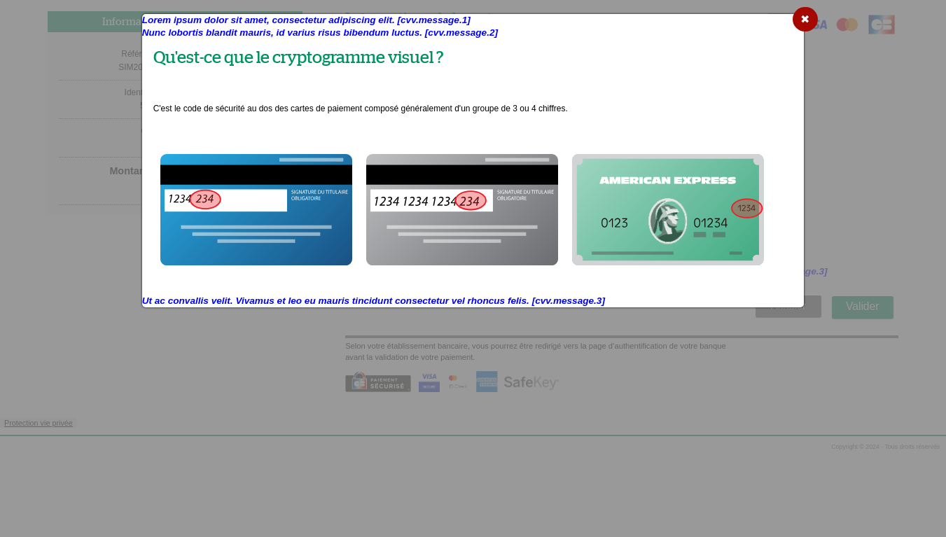 Page d'aide à la saisie du cryptogramme visuel indiquant l'emplacement des messages personnalisables